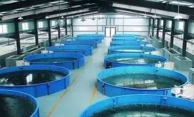 既要养好鱼，又要护生态 一文秒懂《工厂化水产养殖系统》安装指南