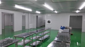 专业无尘实验室建设专家 无锡谷能净化与石家庄无尘实验室安装服务详解